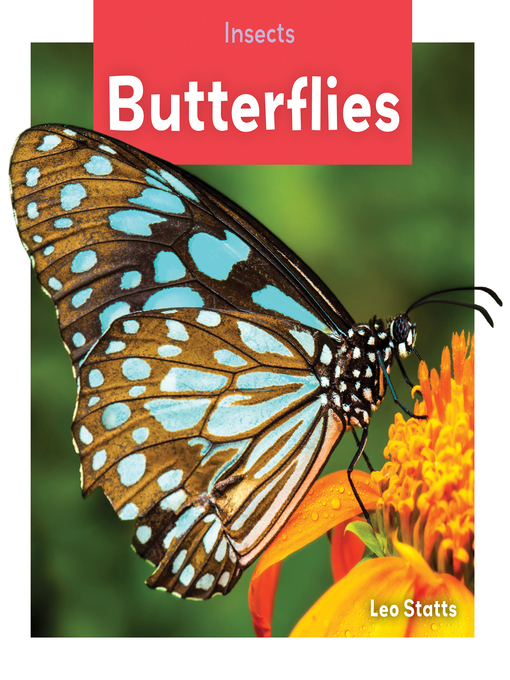 Title details for Butterflies by Julie Murray - Available